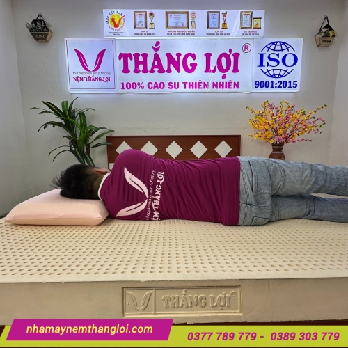 Nệm cao su thiên nhiên Thắng Lợi SiSi Advanced