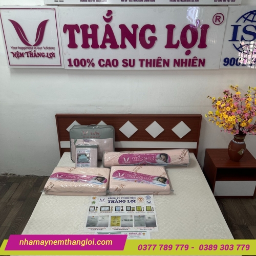 Nệm TiTi Massage Double Function Thắng Lợi