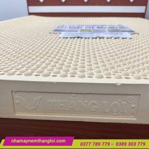 Nệm TiTi Massage Double Function Thắng Lợi