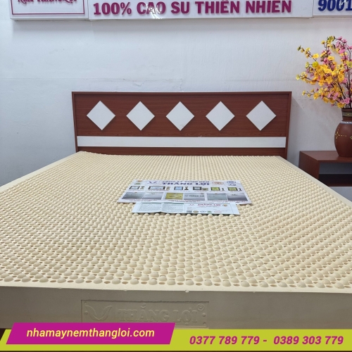 Nệm TiTi Massage Double Function Thắng Lợi