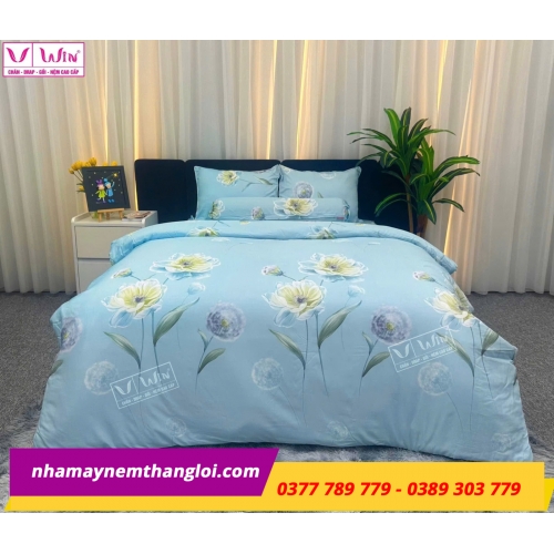 Bộ  Drap - Lụa Tencel 4 món ( hoa văn )