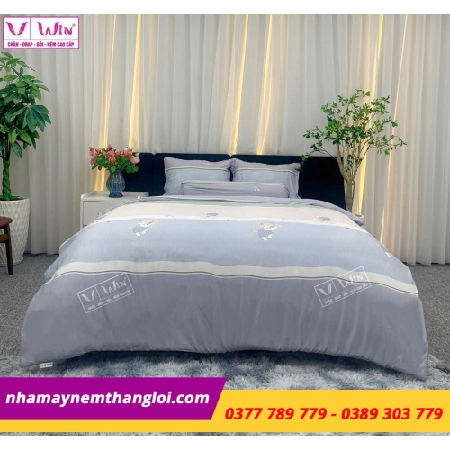 Bộ  Drap - Lụa Tencel 4 món ( hoa văn )