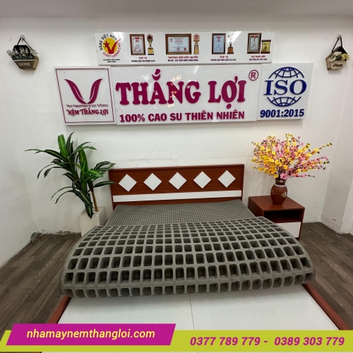 Nệm cao su thiên nhiên BoBo than hoạt tính Thắng Lợi