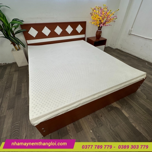 Nệm cao su thiên nhiên Thắng Lợi Titi Double Function