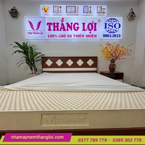 Nệm cao su thiên nhiên Thắng Lợi Titi Double Function