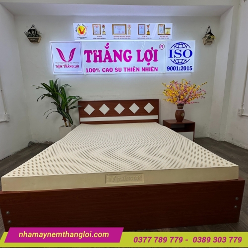 Nệm cao su thiên nhiên Thắng Lợi Titi Double Function