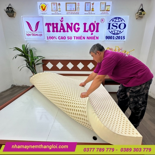 Nệm cao su thiên nhiên Thắng Lợi Titi Double Function