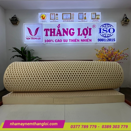Nệm cao su thiên nhiên Thắng Lợi Titi Double Function