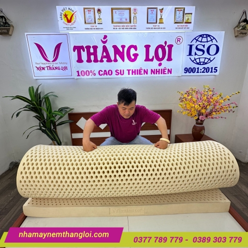 Nệm cao su thiên nhiên Thắng Lợi Titi Double Function