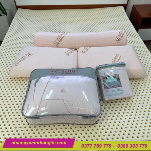 Nệm cao su thiên nhiên Thắng Lợi Titi Double Function