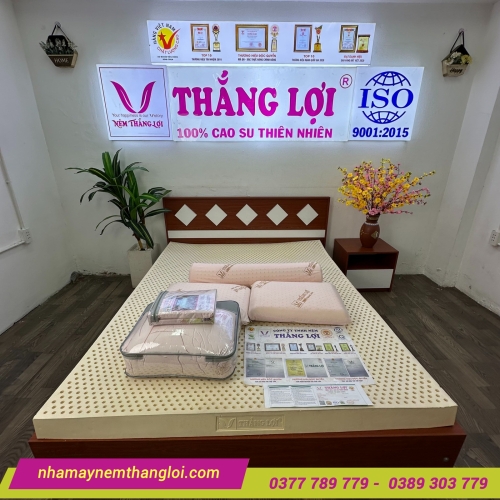 Nệm cao su thiên nhiên Thắng Lợi Titi Double Function