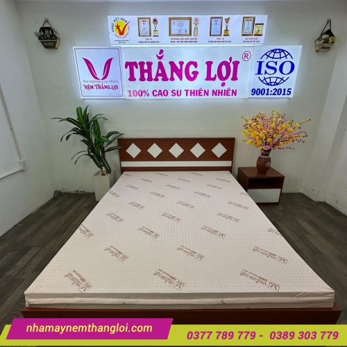 Nệm cao su thiên nhiên Thắng Lợi SiSi Advanced