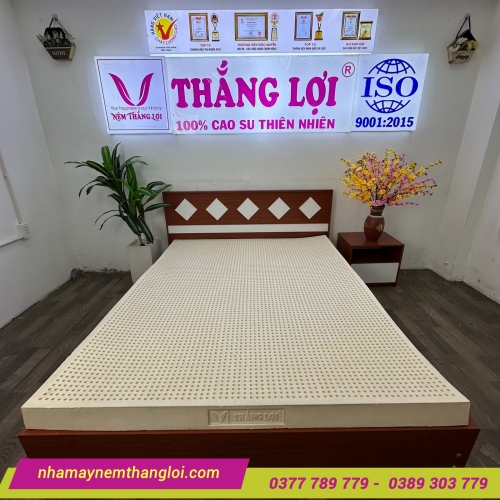 Nệm cao su thiên nhiên Thắng Lợi SiSi Advanced