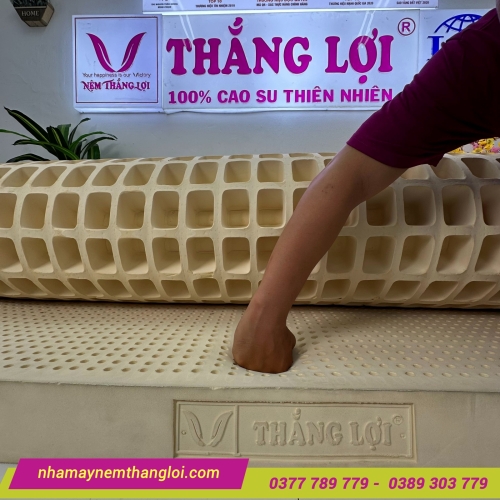 Nệm cao su thiên nhiên Thắng Lợi SiSi Advanced