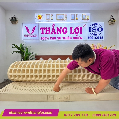 Nệm cao su thiên nhiên Thắng Lợi SiSi Advanced