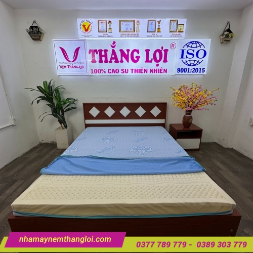 Nệm cao su thiên nhiên Rosi Massage Thắng Lợi