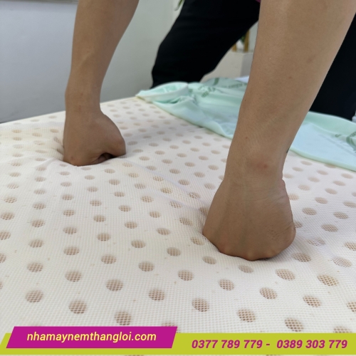Nệm cao su thiên nhiên Super Win Thắng Lợi