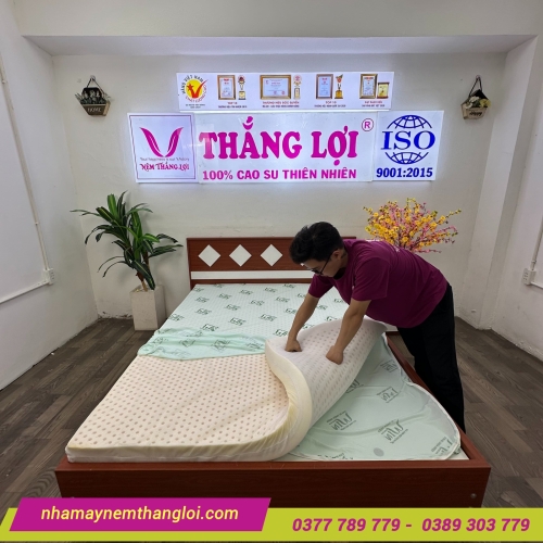 Nệm cao su thiên nhiên Super Win Thắng Lợi