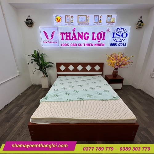 Nệm cao su thiên nhiên Super Win Thắng Lợi
