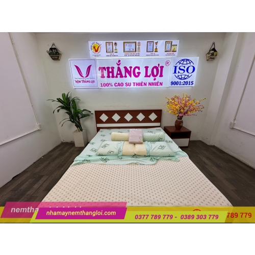 Nệm cao su thiên nhiên Super Win Thắng Lợi