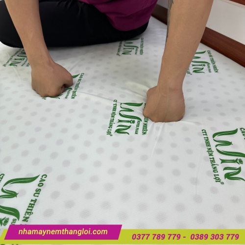 Nệm cao su thiên nhiên Super Win Thắng Lợi