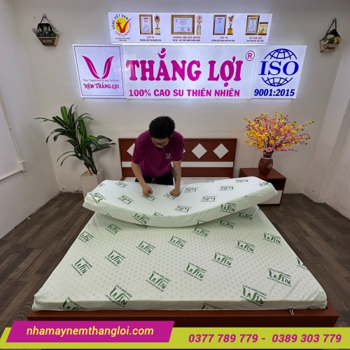 Nệm cao su thiên nhiên Super Win Thắng Lợi