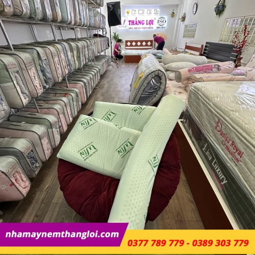 BỘ GỐI CAO SU THIÊN NHIÊN THẮNG LỢI ( 2 NẰM + 1 ÔM )