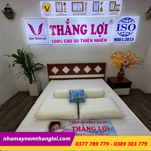 BỘ GỐI CAO SU FOAM THẮNG LỢI ( 2 NẰM + 1 ÔM)