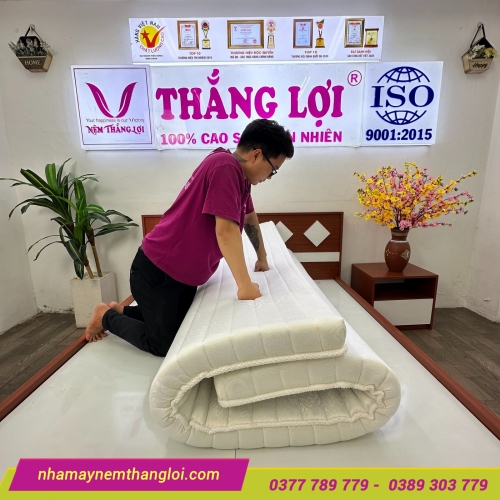 Nệm Foam nhân tạo gấm nhung Thắng Lợi