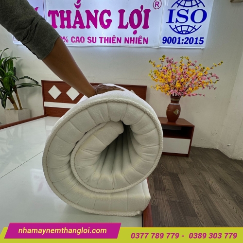 Nệm Foam nhân tạo gấm nhung Thắng Lợi