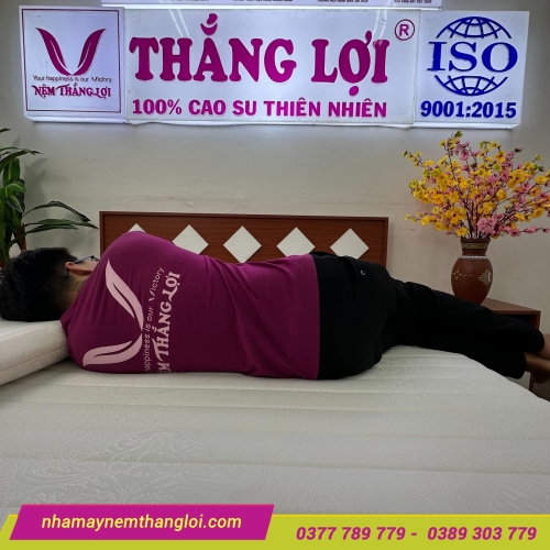 Nệm Foam nhân tạo gấm nhung Thắng Lợi