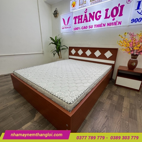 Nệm Foam nhân tạo gấm nhung Thắng Lợi