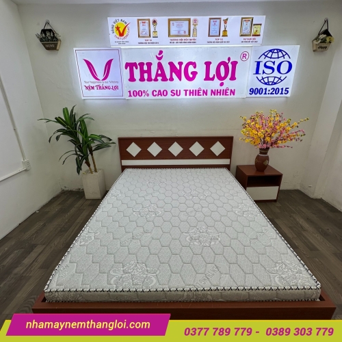 Nệm Foam nhân tạo gấm nhung Thắng Lợi