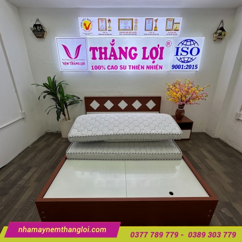 Nệm Foam nhân tạo gấm nhung Thắng Lợi