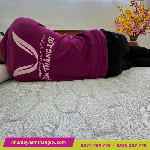 Nệm Foam nhân tạo gấm nhung Thắng Lợi