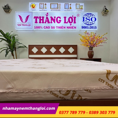 Nệm Super Win Foam ( Win Thắng Lợi )