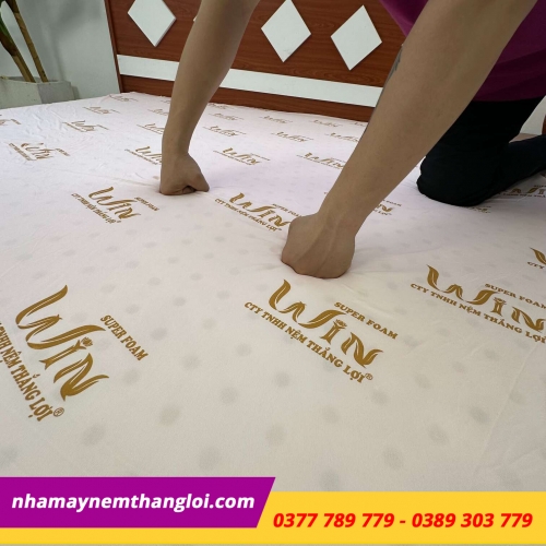 Nệm Super Win Foam ( Win Thắng Lợi )