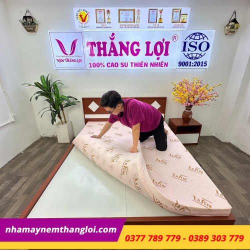 Nệm Super Win Foam ( Win Thắng Lợi )