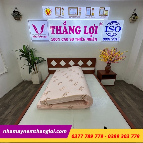 Nệm Super Win Foam ( Win Thắng Lợi )
