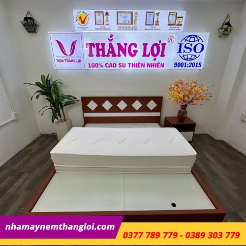 Nệm cao su non cao cấp Thắng Lợi gấp 3