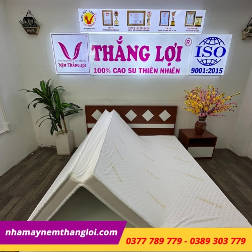 Nệm cao su non cao cấp Thắng Lợi gấp 3