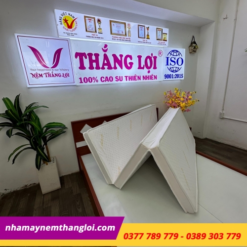 Nệm cao su non cao cấp Thắng Lợi gấp 3