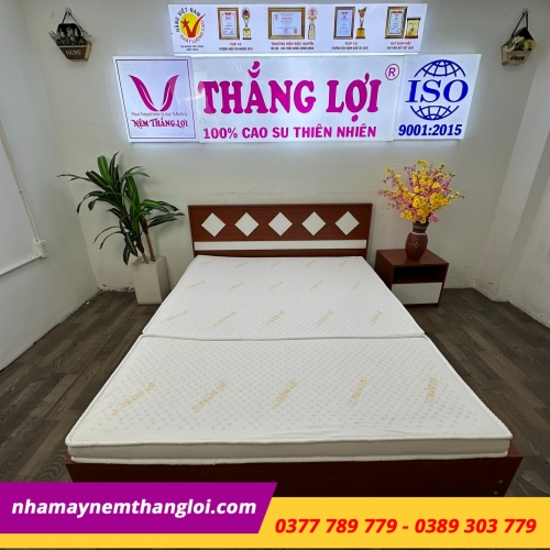 Nệm cao su non cao cấp Thắng Lợi gấp 3