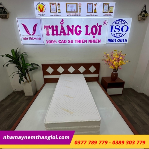 Nệm cao su non cao cấp Thắng Lợi gấp 3