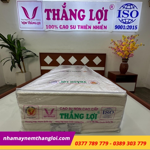 Nệm cao su non cao cấp Thắng Lợi gấp 3