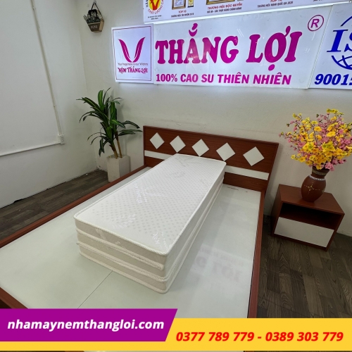 Nệm Cao Su Wonder Foam Thắng Lợi Gấp 3