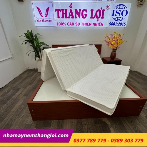 Nệm Cao Su Wonder Foam Thắng Lợi Gấp 3