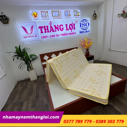 Nệm cao su Thắng Lợi Gold Latex gấp 3