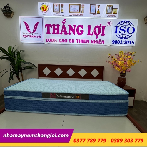 Nệm điều hòa Thắng Lợi Vitamin Cool gấp 3