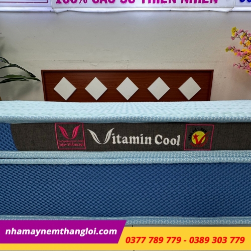 Nệm điều hòa Thắng Lợi Vitamin Cool gấp 3